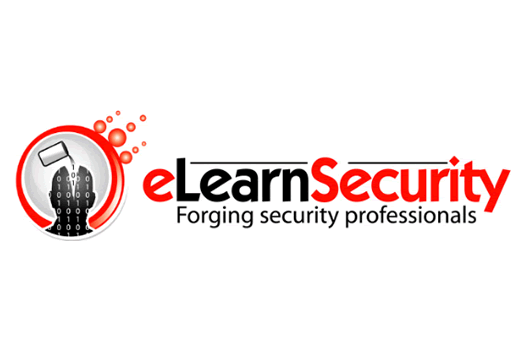 E-Learn Security logo