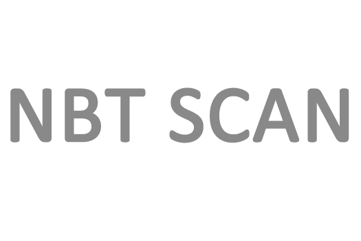 NBT Scan logo